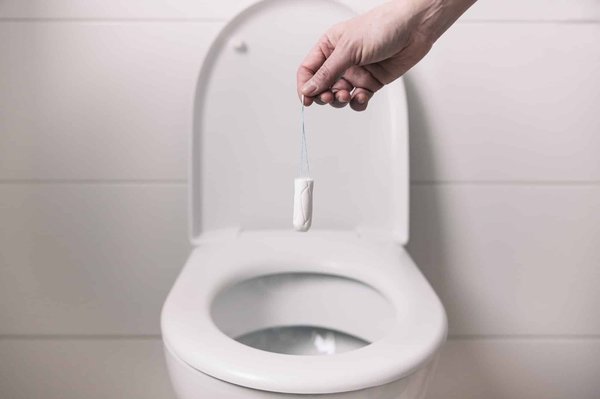 Comment fonctionnent les toilettes sèches écologiques ?