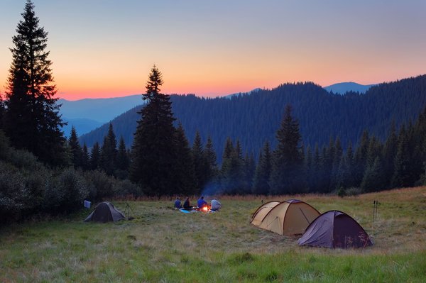 Quels sont les campings Tikayan idéaux pour observer la nature et la faune ?